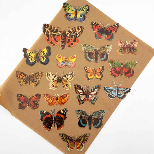 Butterflies Loose Paper Scrap Pack